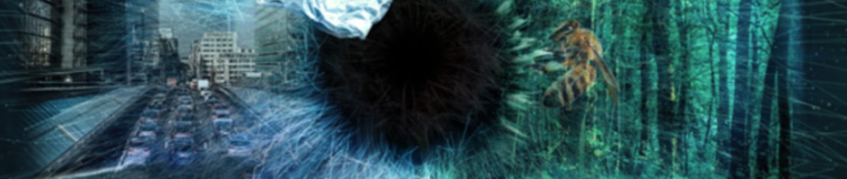 biodiv.png