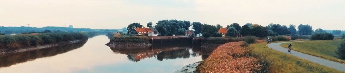 still-zennegat-fin.jpg
